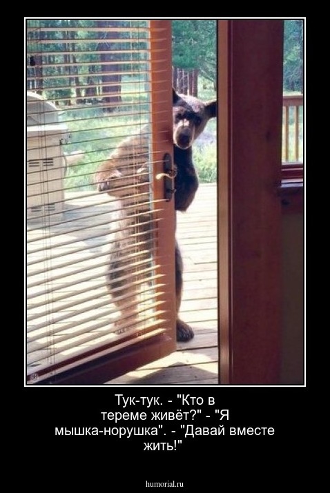Тук-тук. - "Кто в тереме живёт?"
- "Я мышка-норушка".
- "Давай вместе жить!"