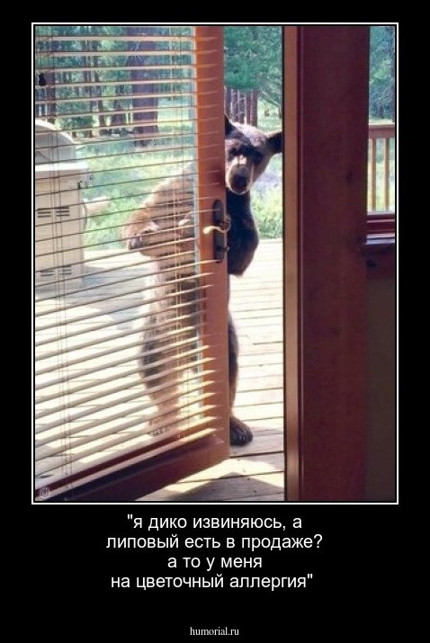 "я дико извиняюсь, а липовый есть в продаже? а то у меня на цветочный аллергия"