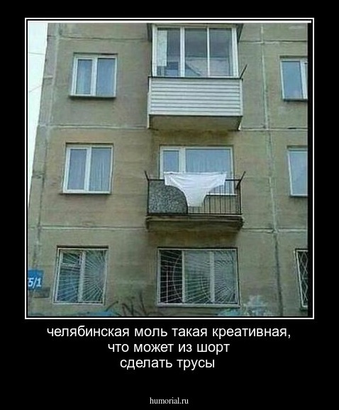  челябинская моль такая креативная,  что может из шорт сделать трусы