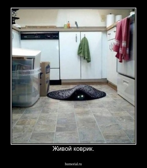 Живой коврик.