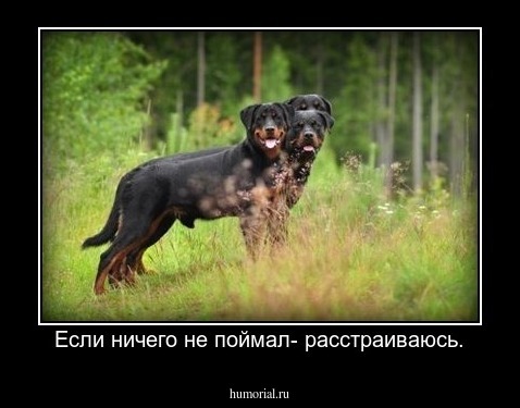 Если ничего не поймал- расстраиваюсь.