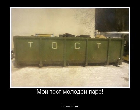 Мой тост молодой паре!