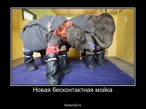 Новая бесконтактная мойка