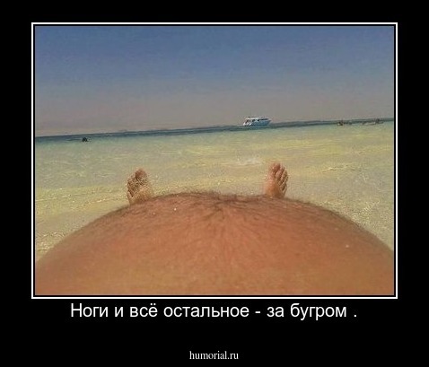 Ноги и всё остальное - за бугром .