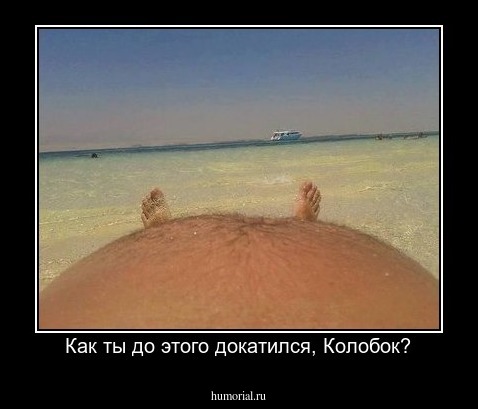 Как ты до этого докатился, Колобок?