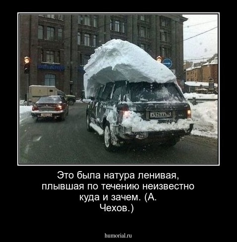 Это была натура ленивая, плывшая по течению неизвестно куда и зачем. (А. Чехов.)