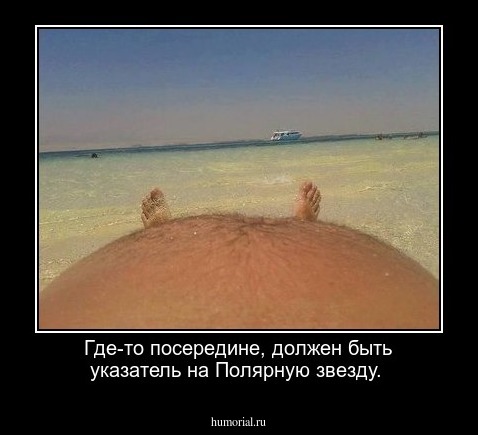 Где-то посередине, должен быть указатель на Полярную звезду. 