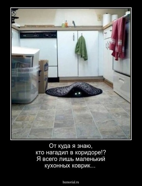 От куда я знаю, кто нагадил в коридоре!? Я всего лишь маленький кухонных коврик...