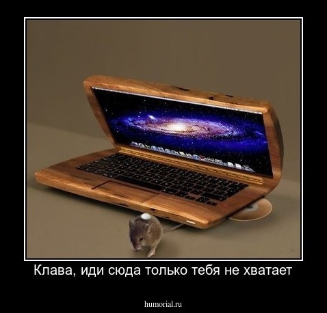 Клава, иди сюда только тебя не хватает