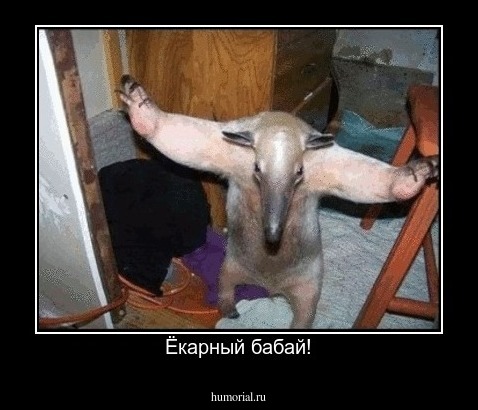 Ёкарный бабай!