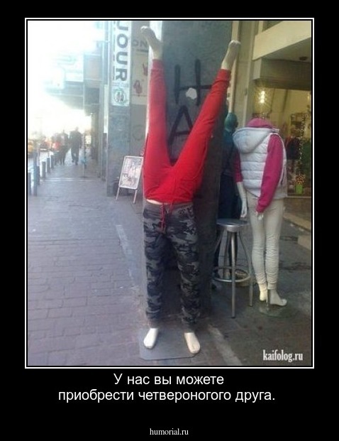 У нас вы можете приобрести четвероногого друга.