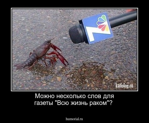 Можно несколько слов для газеты "Всю жизнь раком"?