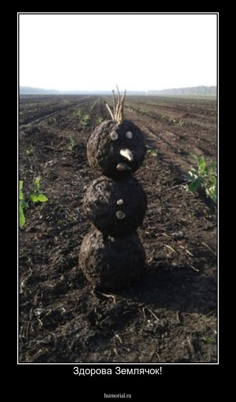 Здорова Землячок!