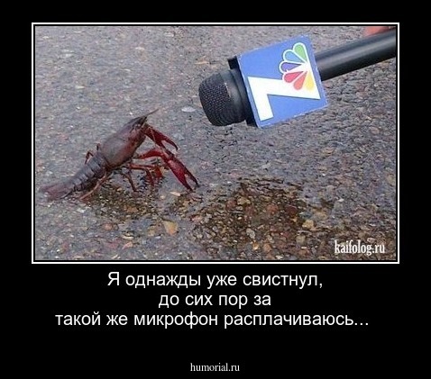 Я однажды уже свистнул, до сих пор за такой же микрофон расплачиваюсь...
