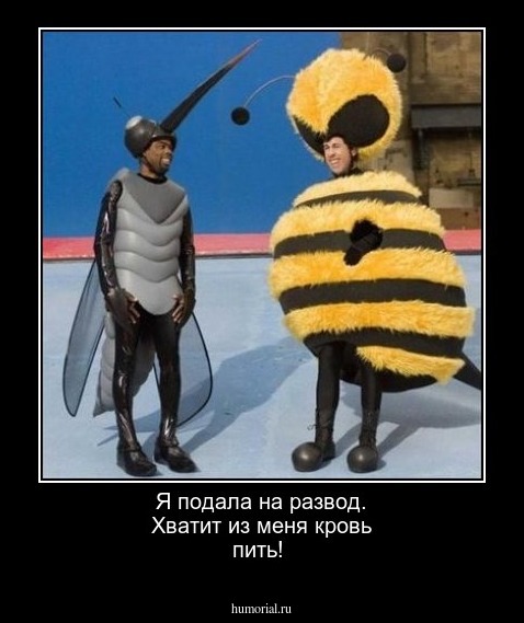 Я подала на развод. Хватит из меня кровь пить!