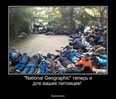  "National Geographic" теперь и для ваших питомцев!