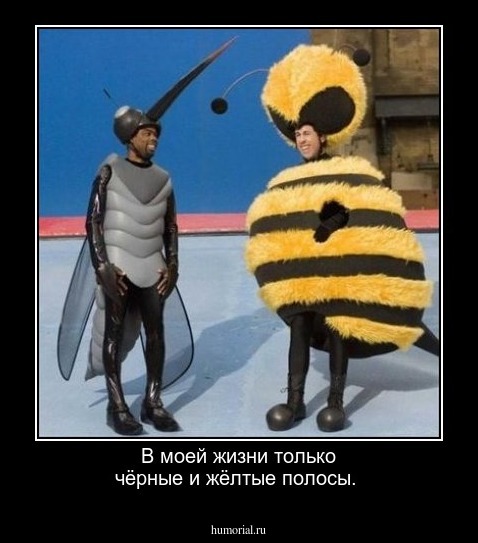 В моей жизни только чёрные и жёлтые полосы.