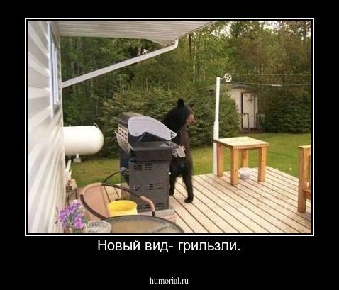 Новый вид- грильзли.