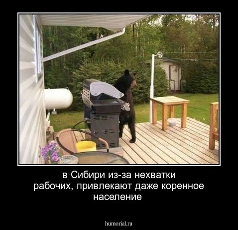 в Сибири из-за нехватки рабочих, привлекают даже коренное население 