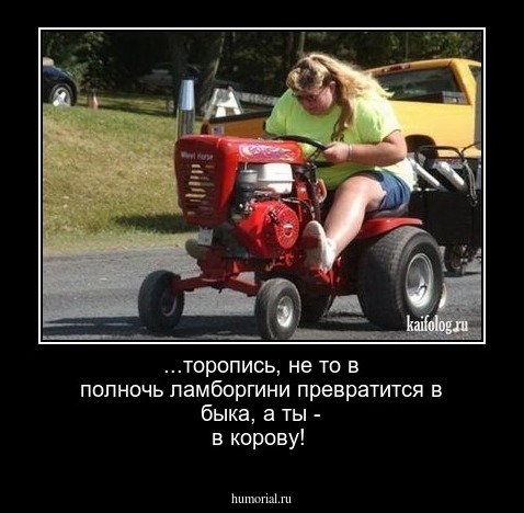...торопись, не то в полночь ламборгини  превратится в быка, а ты - в корову!