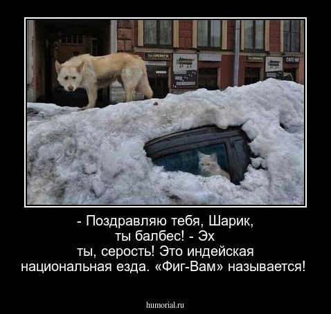 - Поздравляю тебя, Шарик, ты балбес!
- Эх ты, серость! Это индейская национальная езда. «Фиг-Вам» называется!