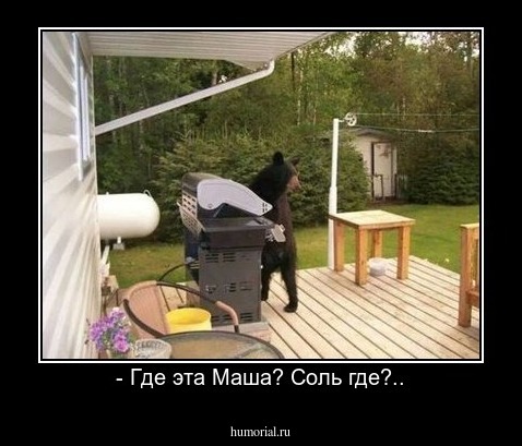 - Где эта Маша? Соль где?..