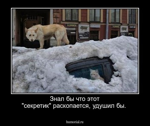 Знал бы что этот "секретик" раскопается, удушил бы. 



