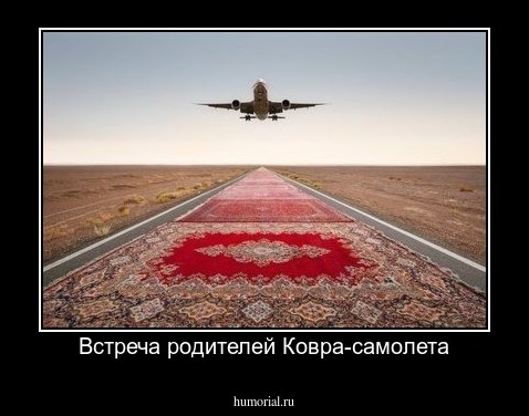 Встреча родителей Ковра-самолета