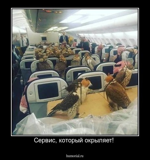 Сервис, который окрыляет! 