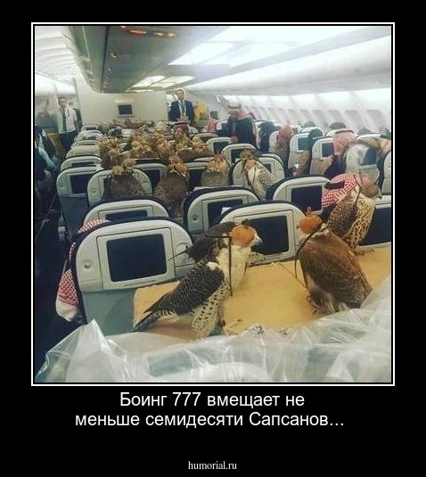 Боинг  777 вмещает не меньше семидесяти Сапсанов...