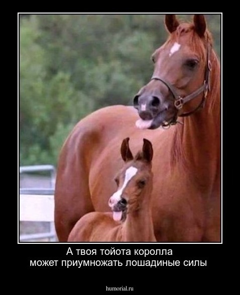 А твоя тойота королла может приумножать лошадиные силы 