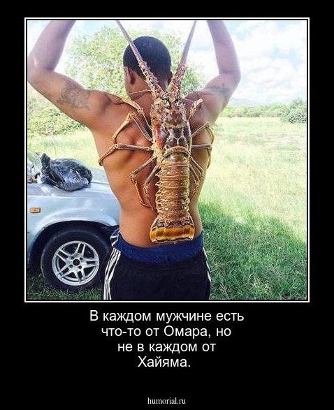 В каждом мужчине есть что-то от Омара, но не в каждом от  Хайяма.