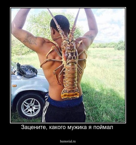 Зацените, какого мужика я поймал 
