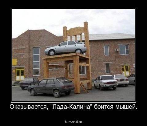 Оказывается, "Лада-Калина" боится мышей.