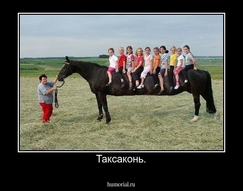 Таксаконь.