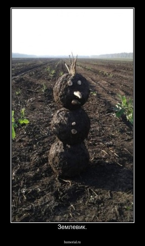 Землевик.