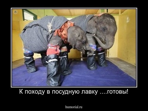 К походу в посудную лавку ....готовы!