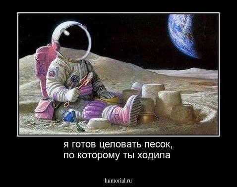 я готов целовать песок,  по которому ты ходила