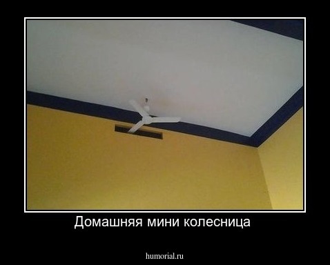 Домашняя мини колесница 