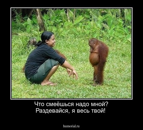 Что смеёшься надо мной? Раздевайся, я весь твой!