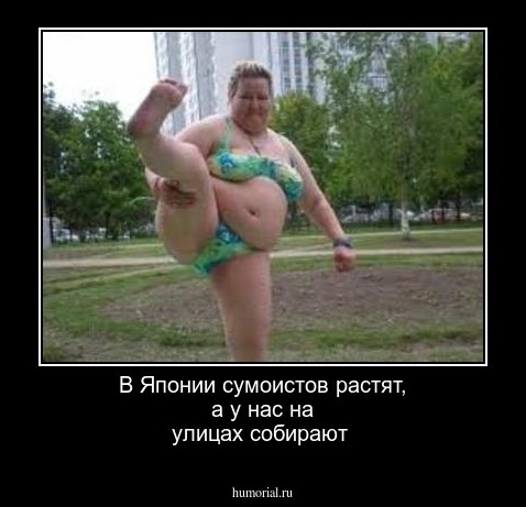 В Японии сумоистов растят, а у нас на улицах собирают
