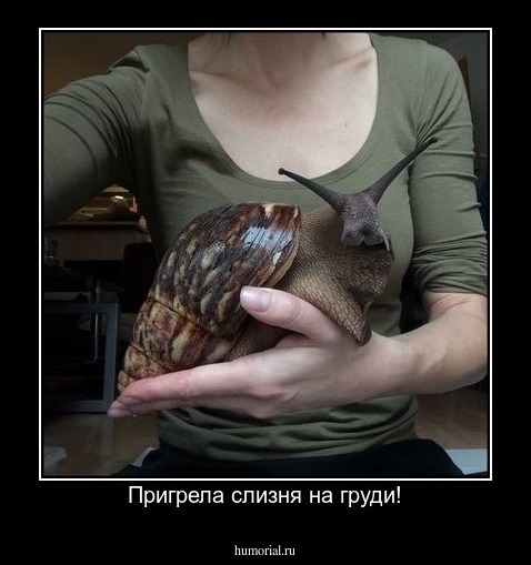 Пригрела слизня на груди!