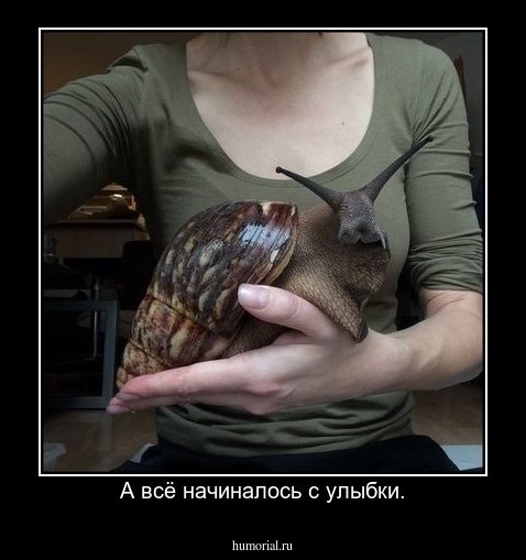 А всё начиналось с улыбки.