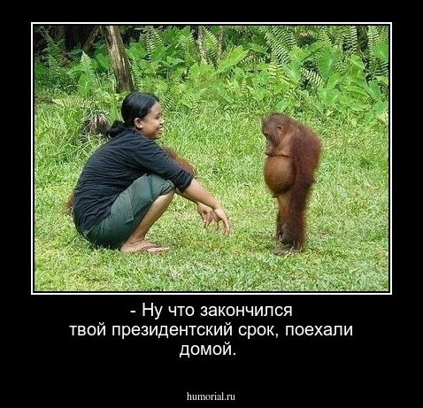 - Ну что закончился твой президентский срок, поехали домой. 