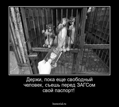 Держи, пока еще свободный человек, съешь перед ЗАГСом свой паспорт!