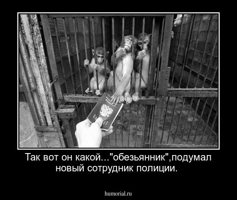 Так вот он какой..."обезьянник",подумал новый сотрудник полиции.