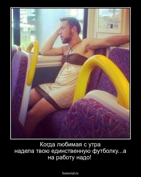 Когда любимая с утра надела твою единственную футболку...а на работу надо!