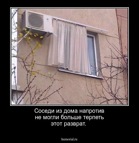 Соседи из дома напротив не могли больше терпеть этот разврат.
