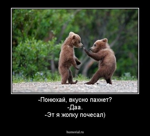 -Понюхай, вкусно пахнет?
-Даа.
-Эт я жопку почесал)