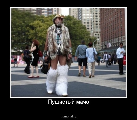 Пушистый мачо
